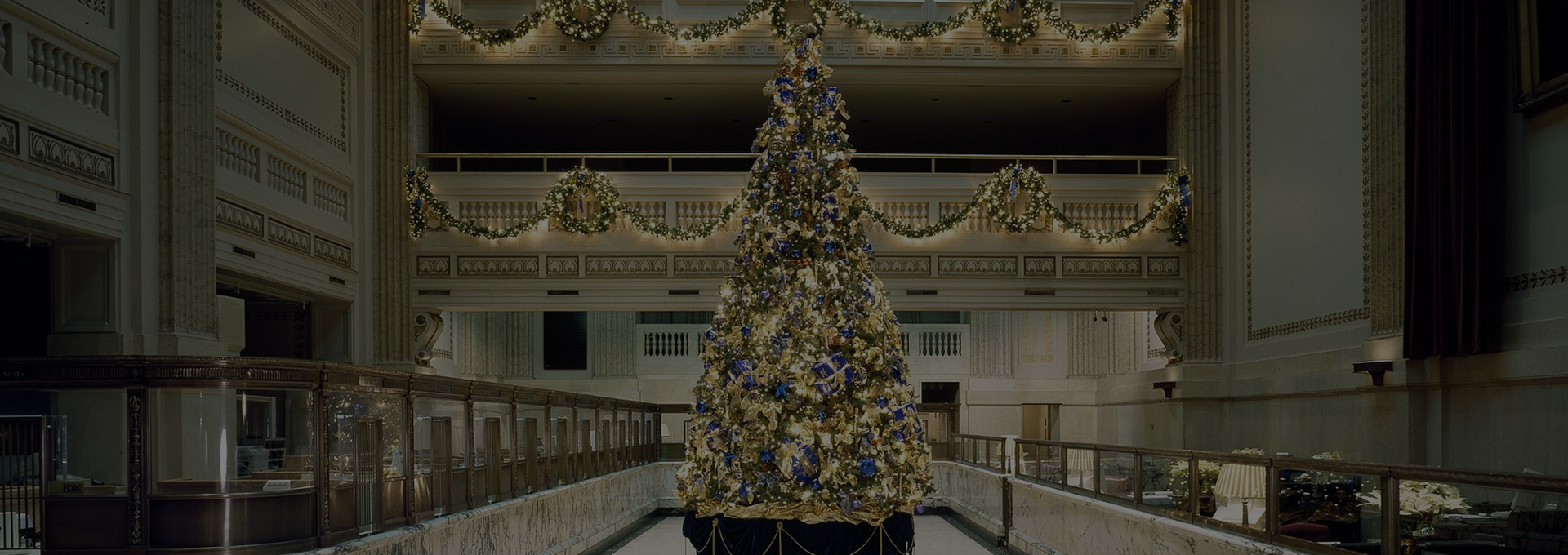 Corporate Christmas Tree hire